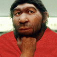 neanderco profilja, adatai