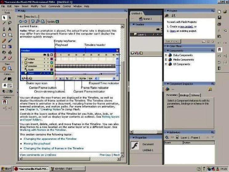 Flash MX 2004 - 2. kép
