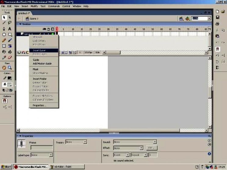 Flash MX 2004 - 3. kép
