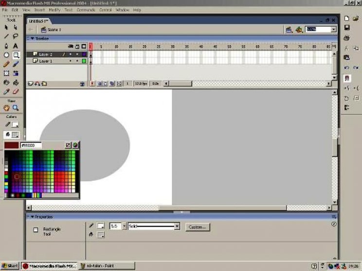 Flash MX 2004 - 4. kép