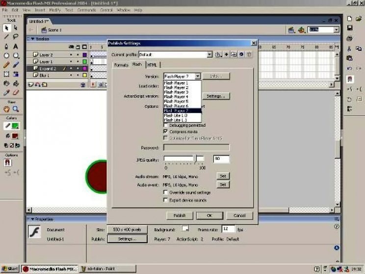 Flash MX 2004 - 7. kép
