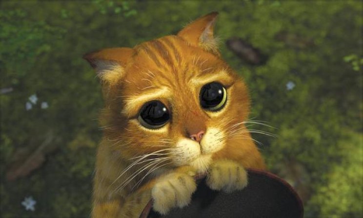 Shrek 2 filmkritika - 5. kép