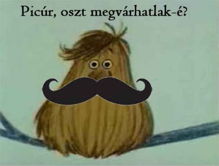 Betyáros mémek - 2. kép