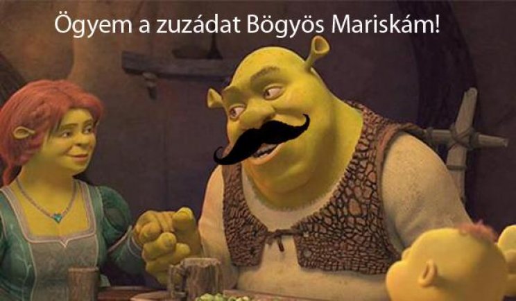 Betyáros mémek - 8. kép
