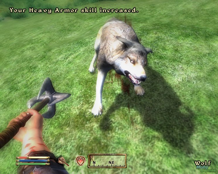 Elder Scrolls IV: Oblivion véleményem - 6. kép