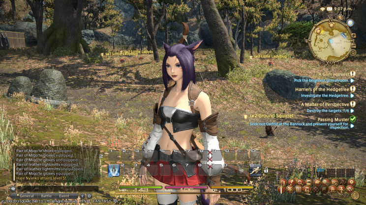 FINAL FANTASY XIV - A Realm Reborn (PS3/PC) Első benyomás a bétáról. - 1. kép