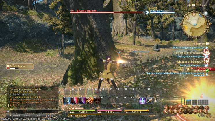 FINAL FANTASY XIV - A Realm Reborn (PS3/PC) Első benyomás a bétáról. - 5. kép