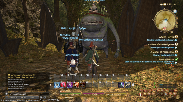 FINAL FANTASY XIV - A Realm Reborn (PS3/PC) Első benyomás a bétáról. - 8. kép