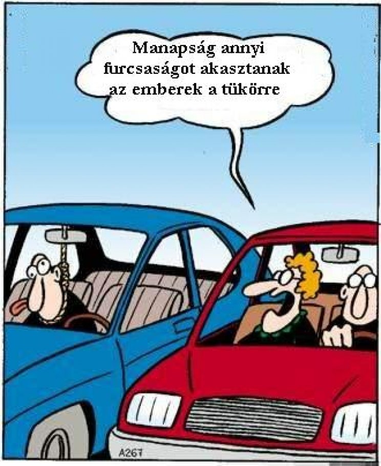 Képblog 2. - 2. kép