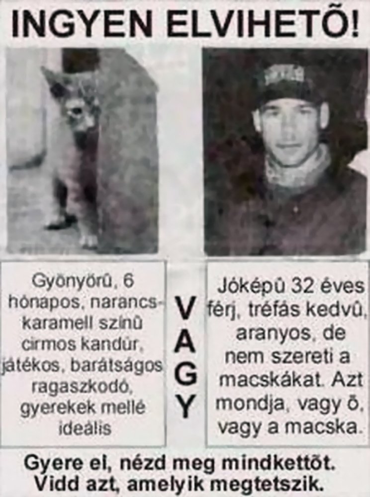 Kis levegővétel... - 2. kép
