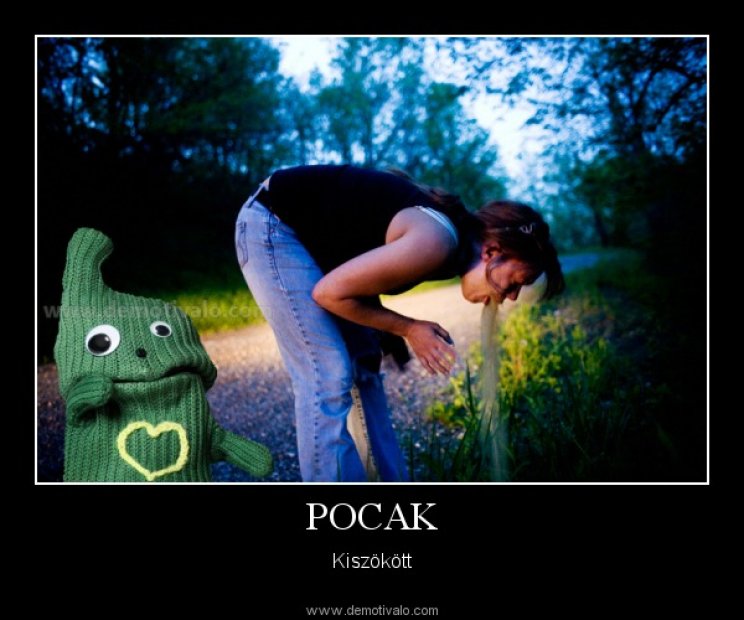 Pocak kiszökött - 3. kép