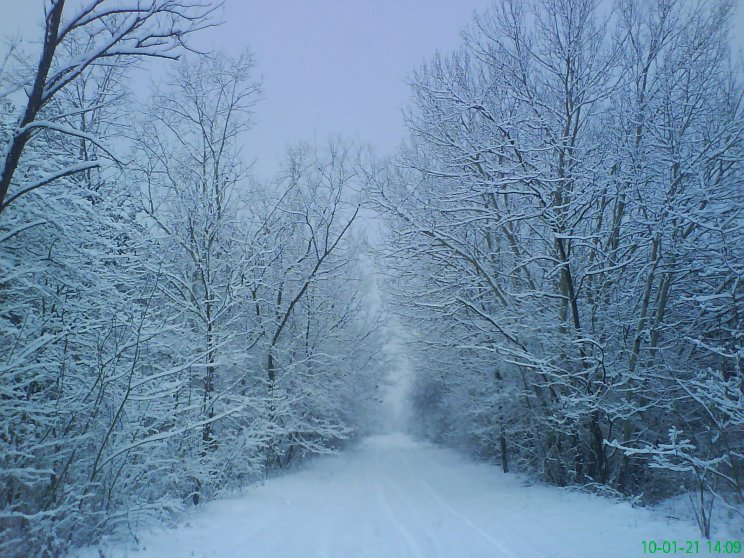 Természet - 2. kép