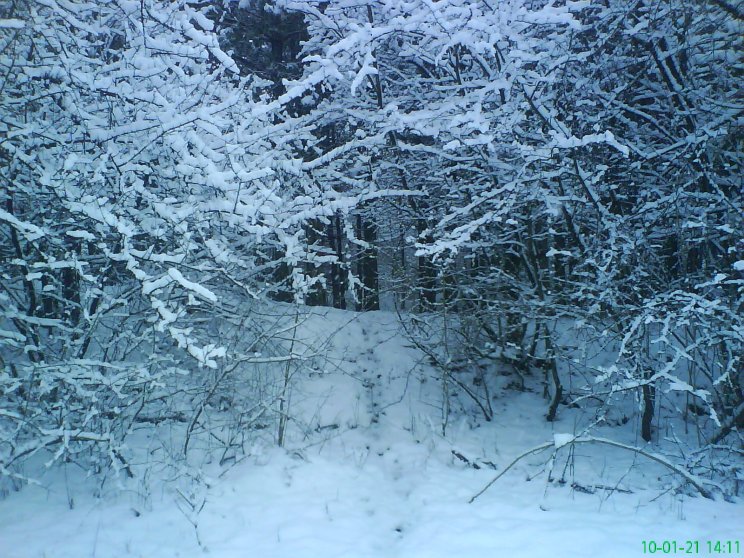 Természet - 3. kép