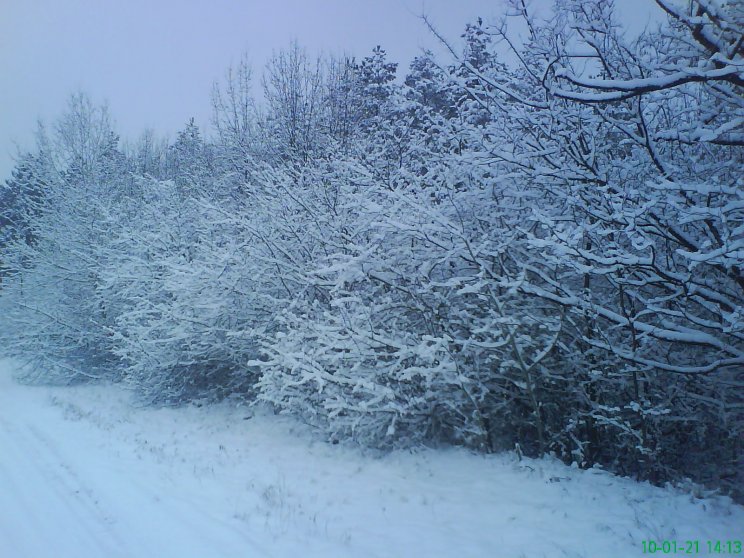 Természet - 4. kép