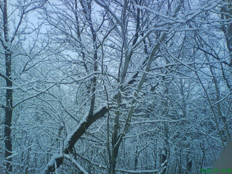 Természet - 5. kép