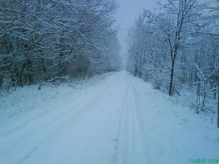 Természet - 6. kép