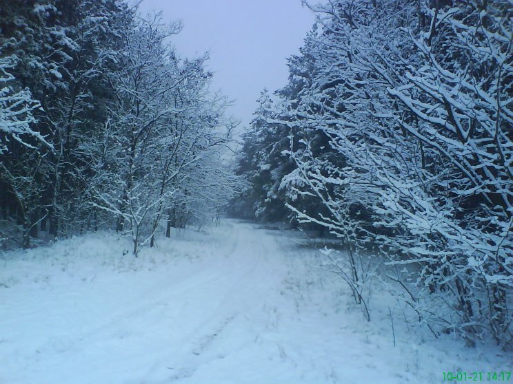 Természet - 8. kép