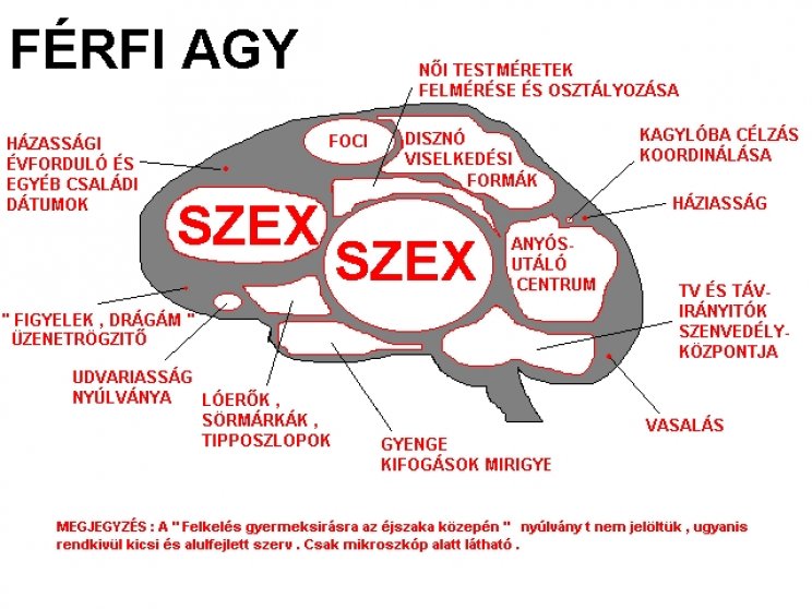Újabb és újabb felfedezéseim - 3. kép