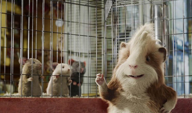 G-Force - Rágcsávók filmkritika - 6. kép