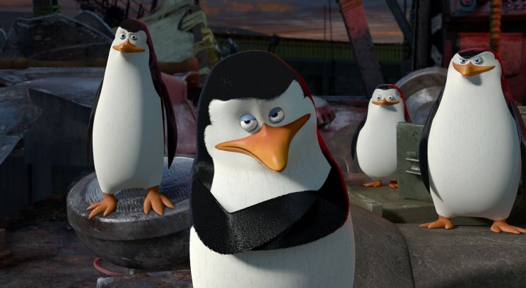 A pingvinek: Kowalski, a Kapitány, a Közlegény és Rico mindig a helyzet magaslatán állnak.