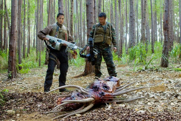 Ragadozók filmkritika - 5. kép