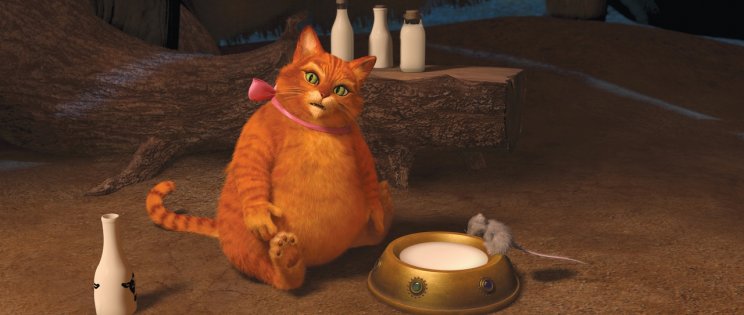Shrek a vége, fuss el véle filmkritika - 8. kép