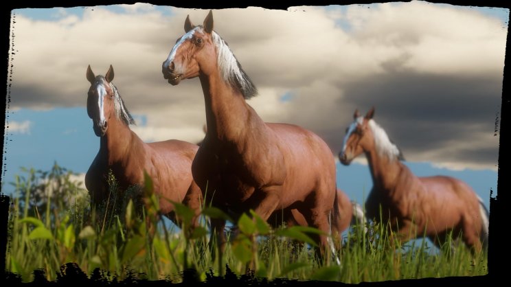 A játék élővilágát mutatják be a legfrissebb Red Dead Redemption 2 képek - 3. kép