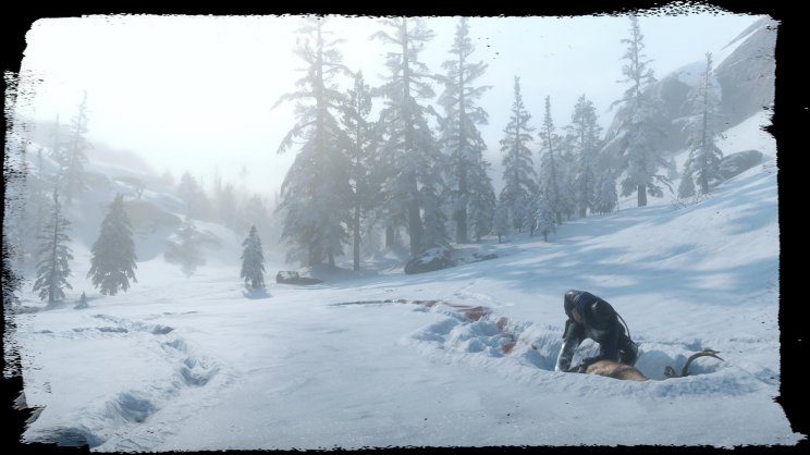 A játék élővilágát mutatják be a legfrissebb Red Dead Redemption 2 képek - 6. kép