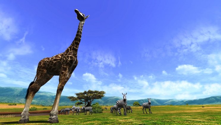 Afrika: Vizuális betekintő - 2. kép