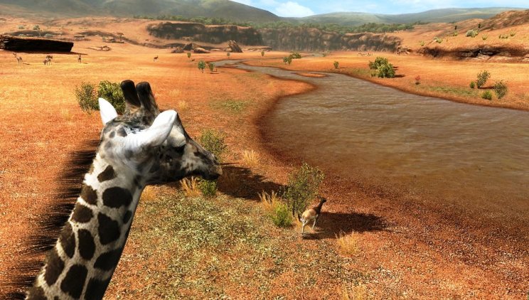 Afrika: Vizuális betekintő - 7. kép