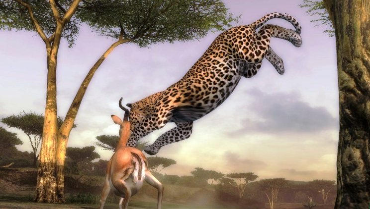 Afrika: Vizuális betekintő - 8. kép