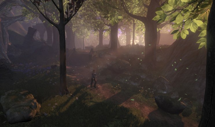 A Microsoft bejelentette a Gears Of War 2 és a Fable 2 érkezését - 4. kép