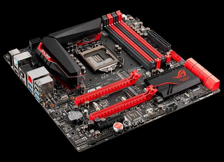Maximus VII Gene