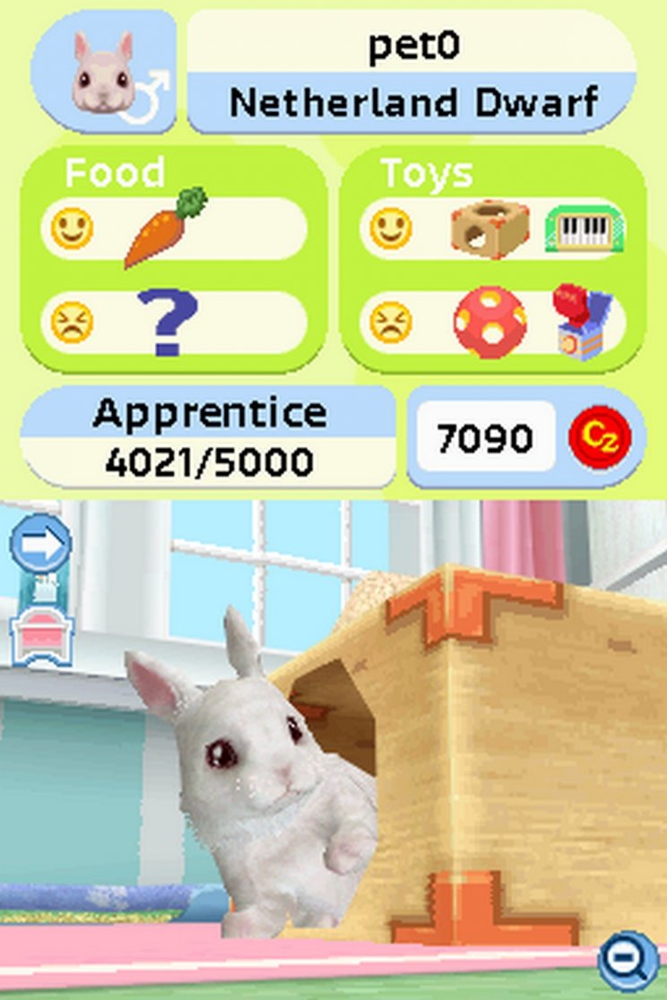 Bejelentve a Petz Bunnyz Bunch - 5. kép