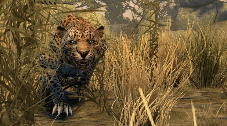 Cabelas Dangerous Hunts 2011: Képek és videó a játékról - 4. kép