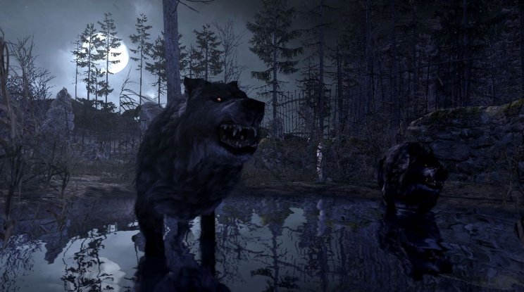 Cabelas Dangerous Hunts 2011: Képek és videó a játékról - 6. kép