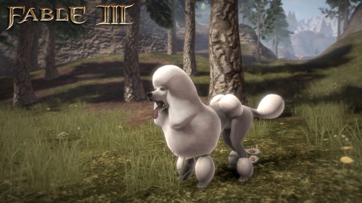 Fable III: Már elérhető a Dog Breed Pack DLC - 2. kép