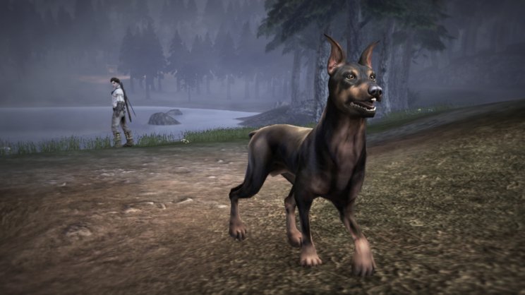 Fable III: Már elérhető a Dog Breed Pack DLC - 3. kép