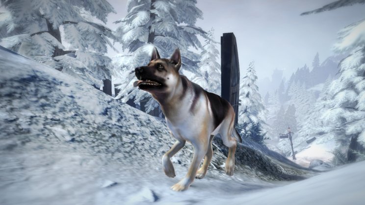 Fable III: Már elérhető a Dog Breed Pack DLC - 4. kép