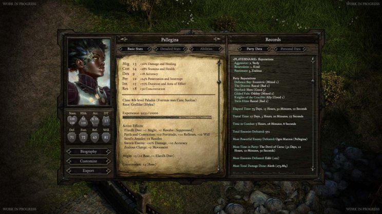 Friss képekkel gazdagodott a Pillars of Eternity - 3. kép