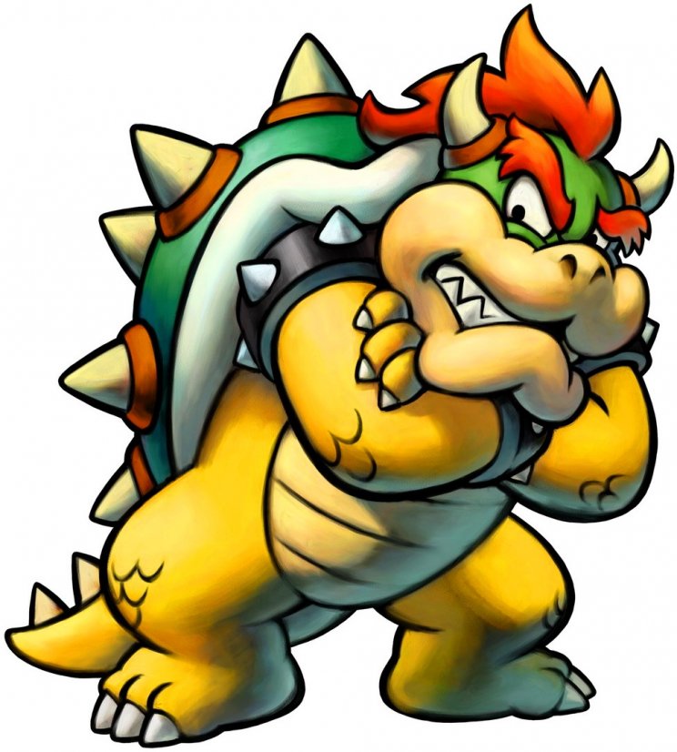 Mario & Luigi: Bowser