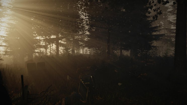 The Forest: új képeken az Oculus Riftes horrorjáték - 4. kép