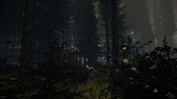 The Forest: új képeken az Oculus Riftes horrorjáték - 5. kép
