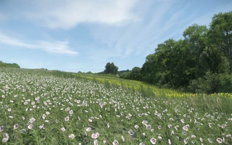 Új képek a Kingdom Come: Deliverance-ból - 8. kép