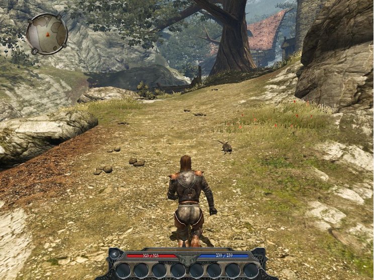 Divinity II: Ego Draconis teszt - 2. kép