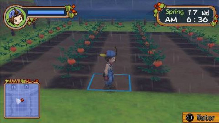 Harvest Moon: Hero of Leaf Valley teszt - 8. kép