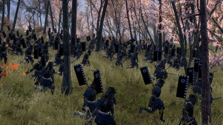 Shogun 2: Total War teszt - 7. kép