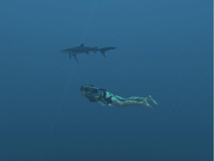 Tomb Raider: Underworld teszt - 6. kép