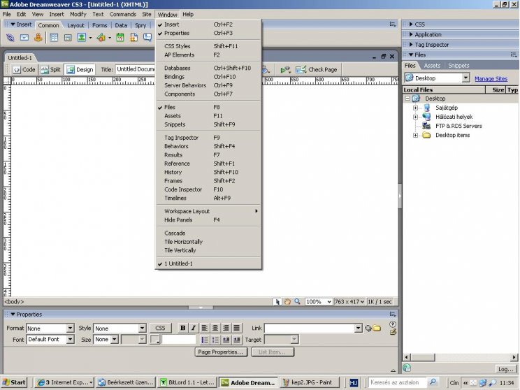 Adobe Web Standard - 3. kép