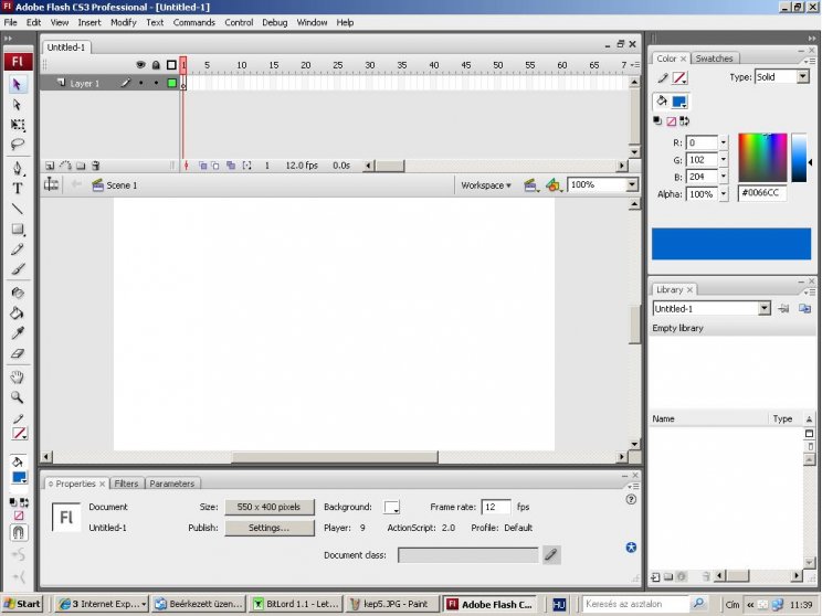 Adobe Web Standard - 6. kép